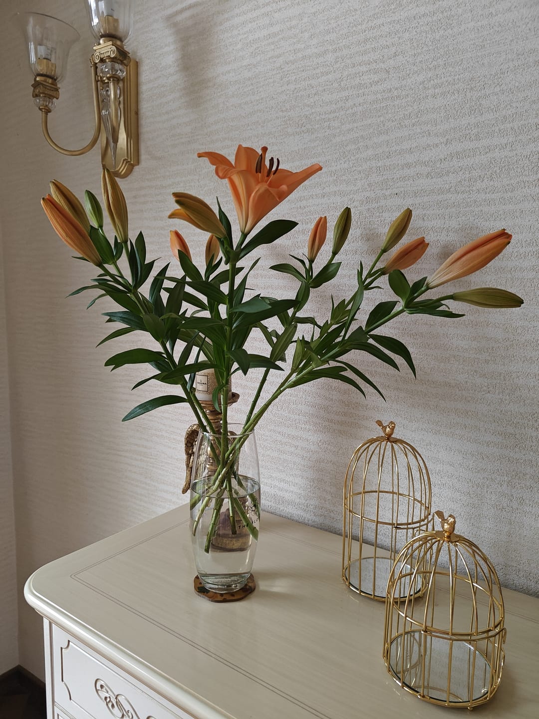 Customer photo review of Asiatic Lily
