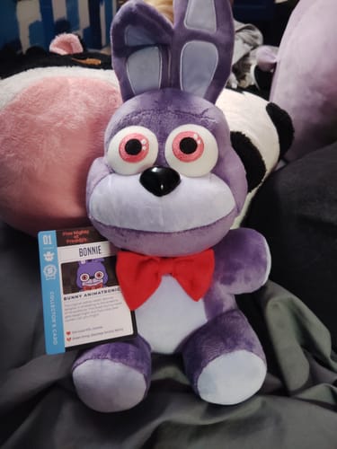 Customer photo review of Five Nights at Freddy's - Bonnie Collector's Plush