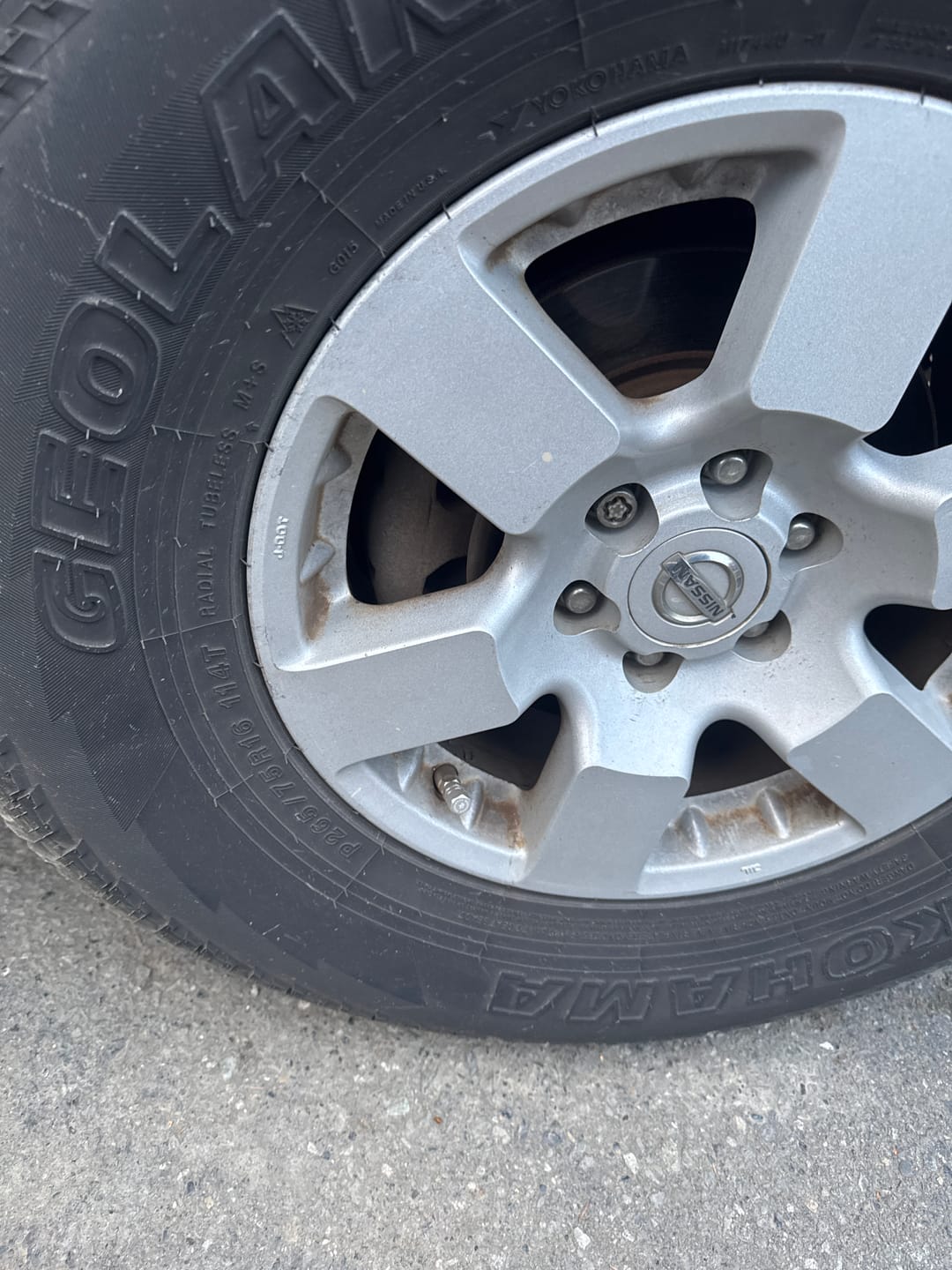 Customer photo review of Tire Valve Caps
