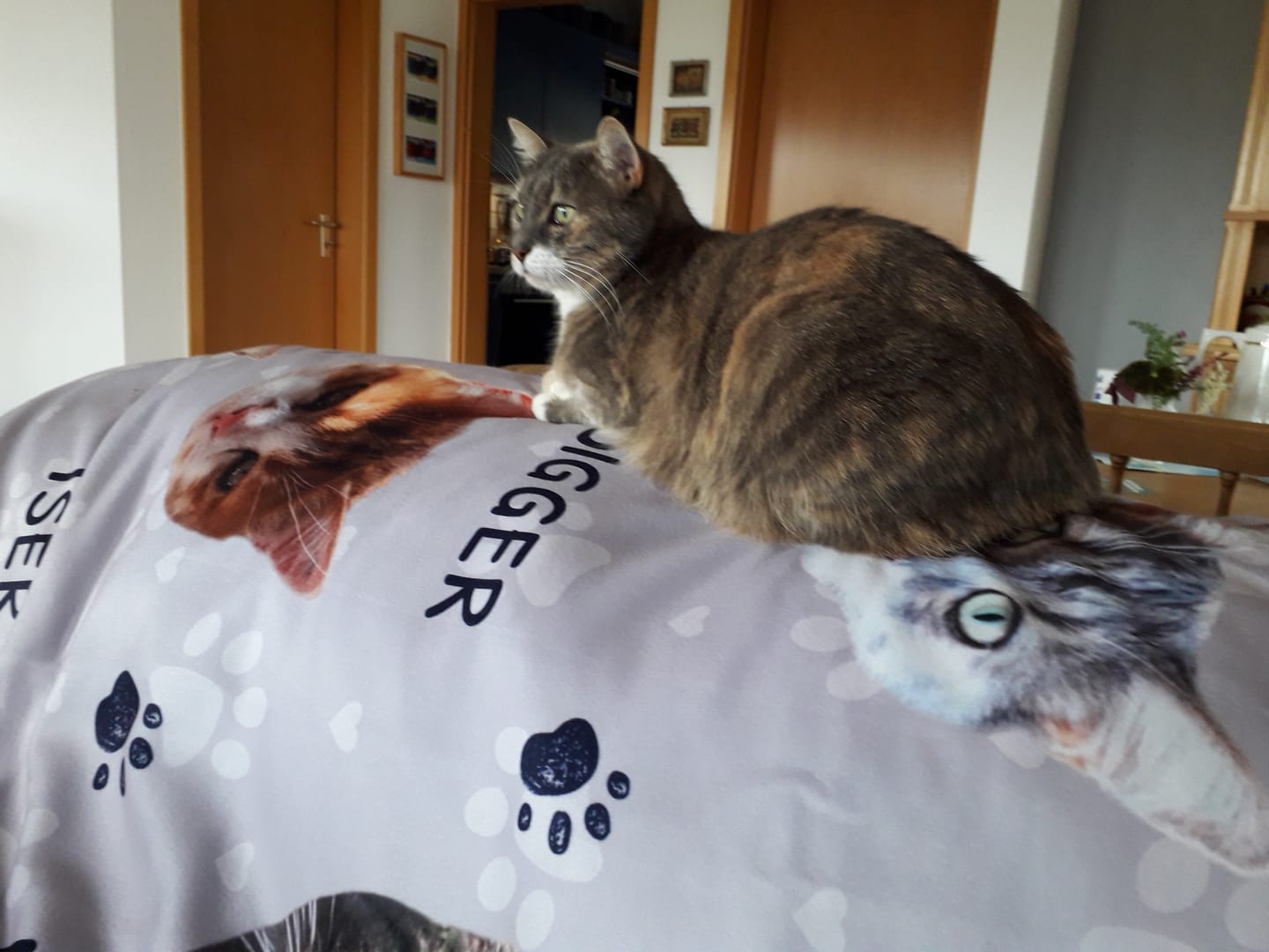 Customer photo review of Haustierköpfe - Individuelle Decke