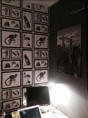 Customer photo review of Mad Dogs Wallpaper