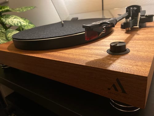 Customer photo review of TT-4