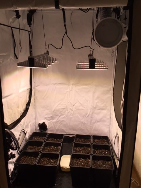 Customer photo review of Komplettset All Inclusive / Homebox Q120 / 500 Watt LED
