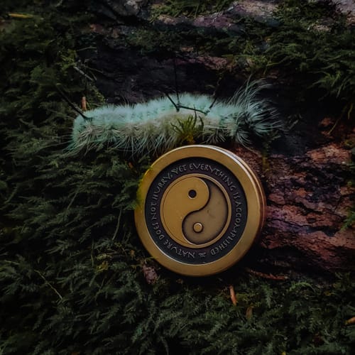 Customer photo review of Balance Fidget