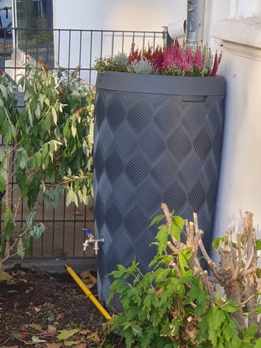 Customer photo review of YourCasa Regentonne 240 Liter [Seabreeze Flower] - Nachhaltige Bewässerung im Garten