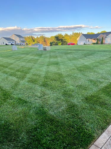 Customer photo review of GCI Turf 5-0-5