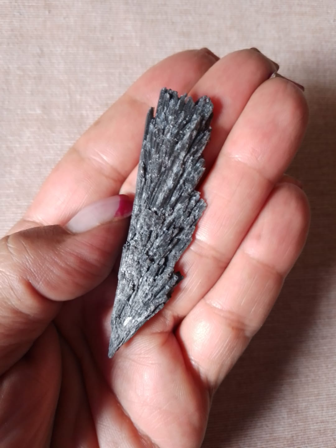 Customer photo review of Escoba de bruja | Fortaleza - Protección