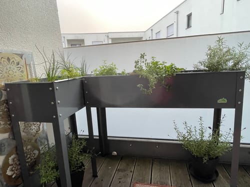 Customer photo review of Hochbeet "Freising XL" aus verzinktem Metall B 100 x T 30 x H 80 cm