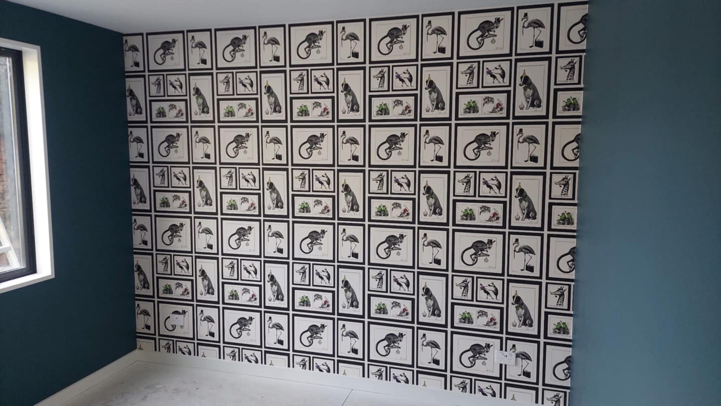 Customer photo review of Mad Dogs Wallpaper