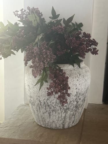 Customer photo review of Allegra Pot