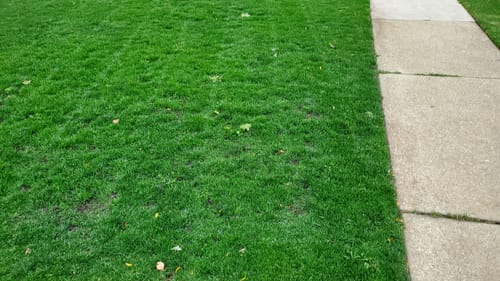 Customer photo review of N-EXT N-Charge 28-0-0