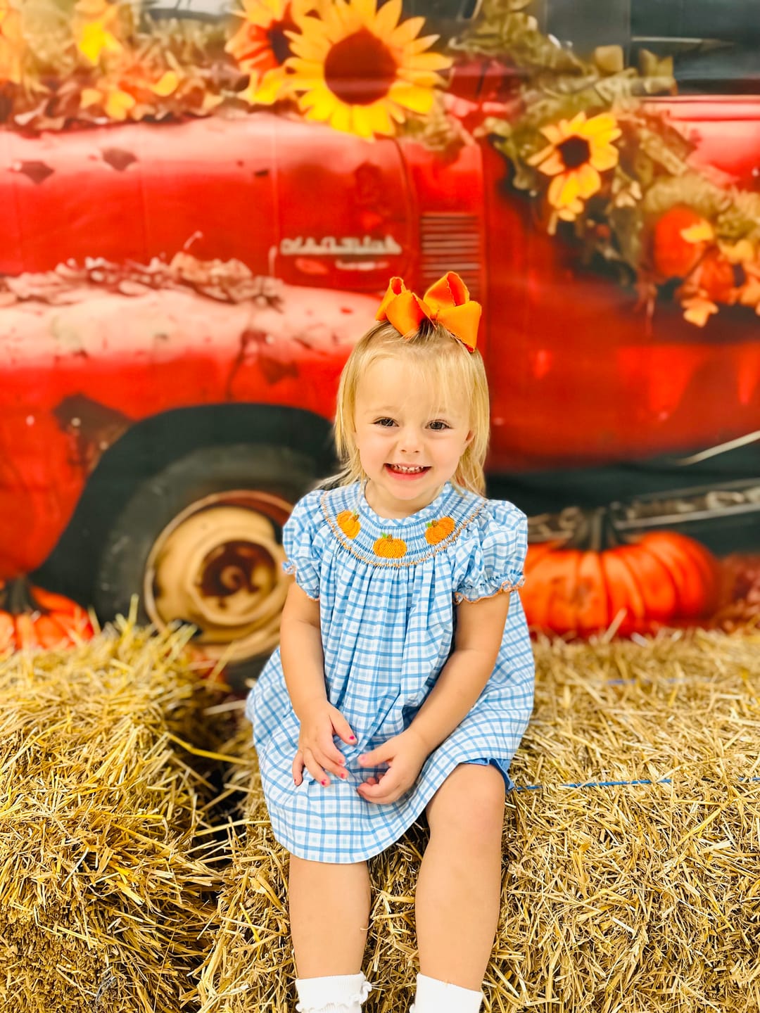 Customer photo review of Little Pumpkin Blue Gingham Smocked  Bloomer Set