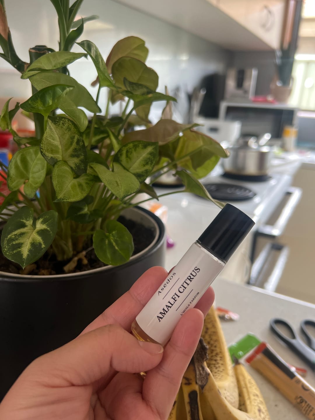 Customer photo review of AMALFI CITRUS PERFUME OIL