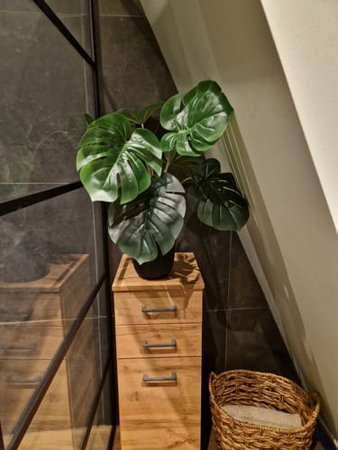 Customer photo review of Monstera Kunstplant 60cm
