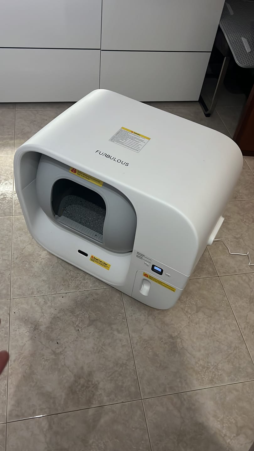 Customer photo review of Furbulous Box