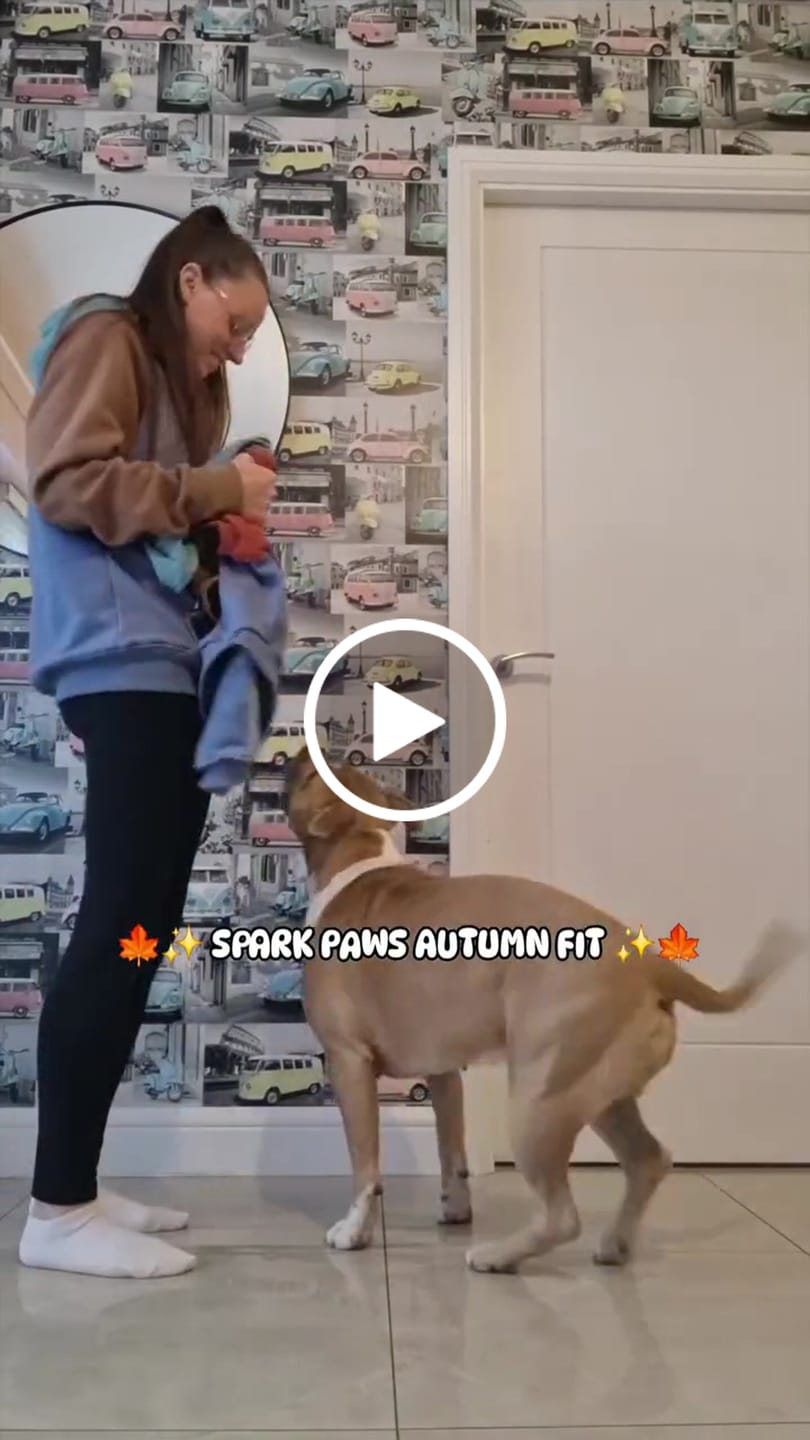 Customer video review of Alpine Human Hoodie