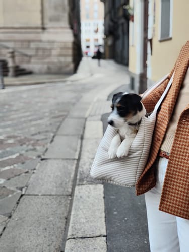 Customer photo review of Trasportino Cotone Urban Righe Beige