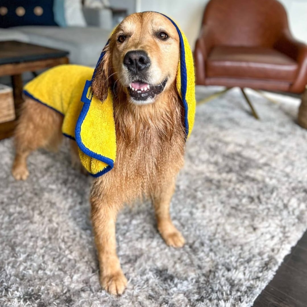 Customer photo review of HomePets Shower Warmer