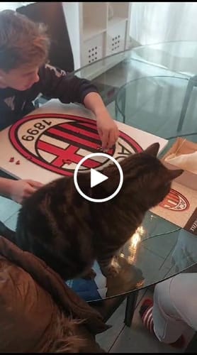 Customer photo review of AC Milan® Logo - Holzpuzzle