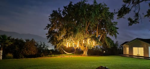 Customer photo review of Guirnalda LED Colgante