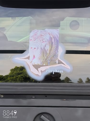 Customer photo review of Personalized Pet lover Crack Car Sticker