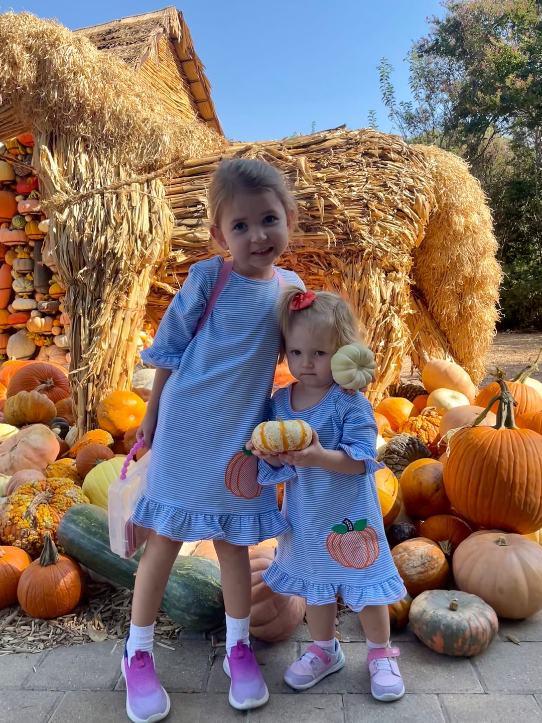 Customer photo review of Pumpkin Blue Stripe Milly Dress