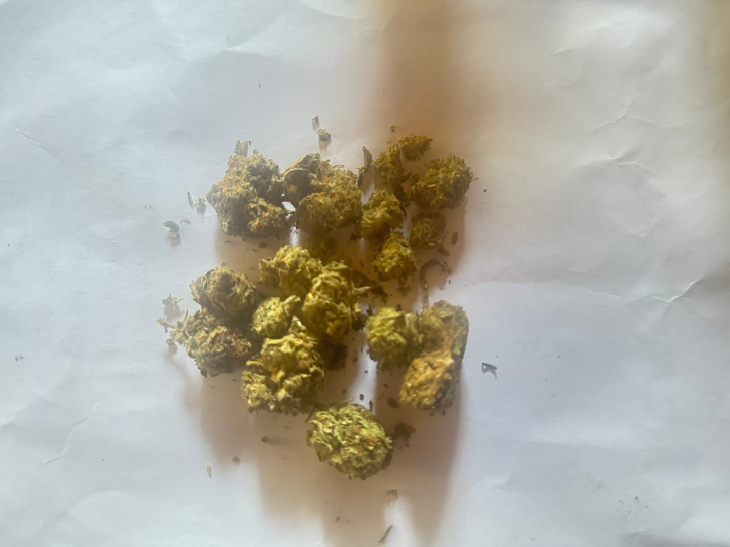 Customer photo review of 🧛🏻‍♂️ Vampire Kush CBD 22%