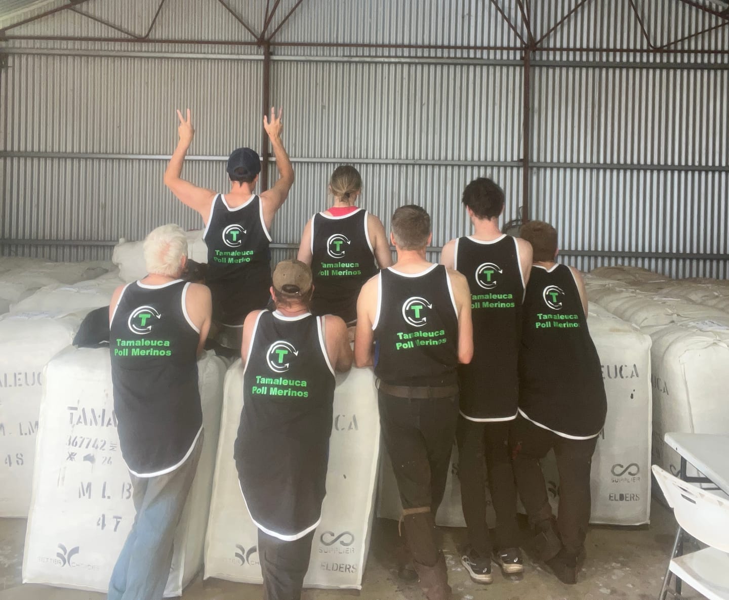 Customer photo review of Royal Blue & Black Shearing Singlet