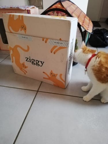 Avis photo d'un client sur Croquettes Chat Stérilisé Sans Céréales - Poulet