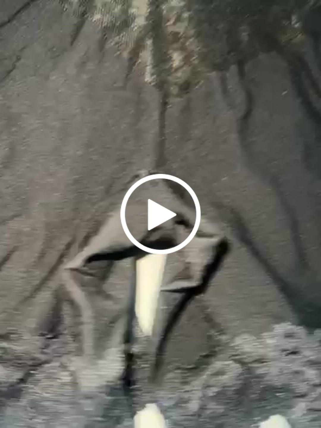Customer video review of Shades Bust Shaping and Butt lifting Full Body