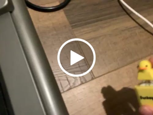 Customer video review of Quackey - Fidget Toy that Quacks!