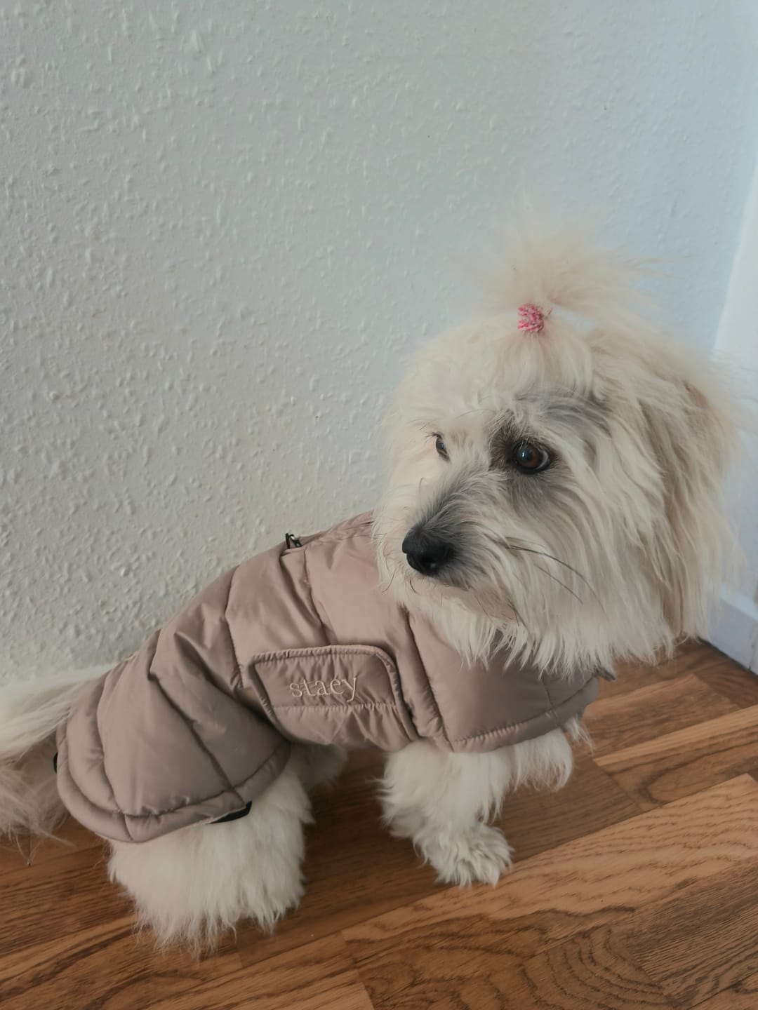 Customer photo review of Staey - Nora Hundefrakke, Natur