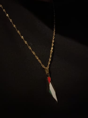 Customer photo review of Palestine Pride Map Necklace