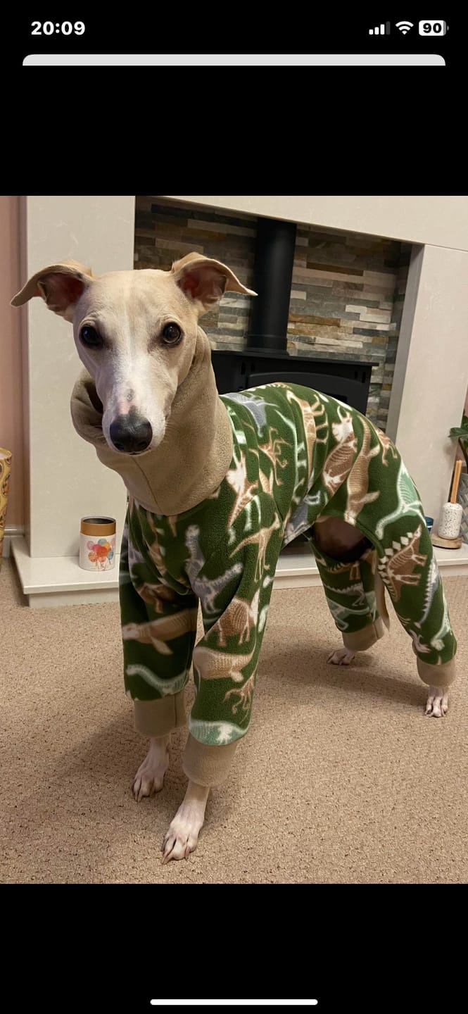 Customer photo review of Dino Skeletons on Green Anti Pill Polar Fleece Fabric
