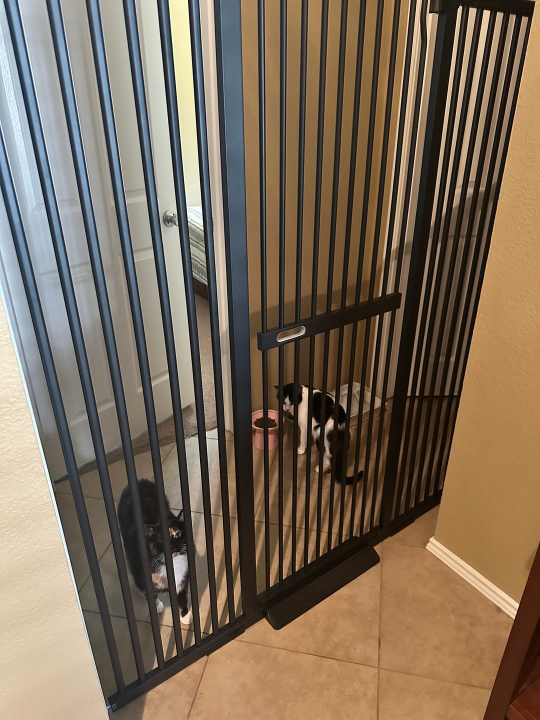 Customer photo review of FairyBaby 55"/61" Extra Tall Cat Gate with Narrow Bar Spacing