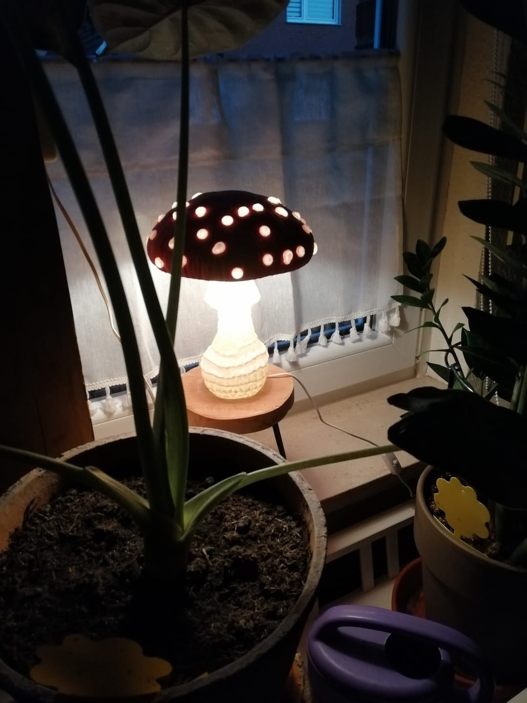 Customer photo review of Amanita Pilz Lampenschirm-Kit