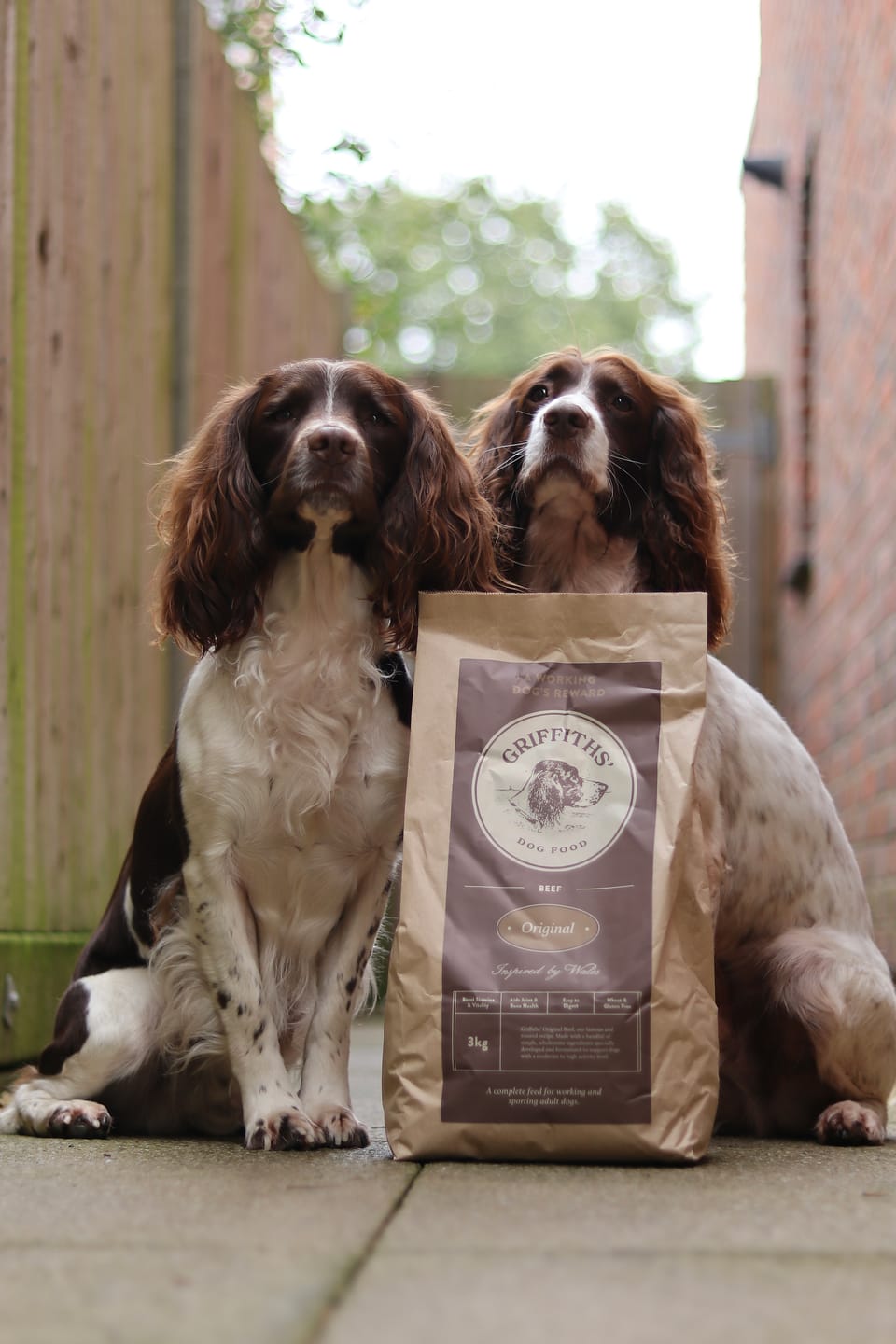 Customer photo review of Original Beef - Adult Dry Dog Food 3Kg