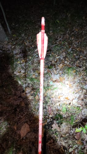 Customer photo review of Beast Broadheads (2-Pack + Practice Tip)