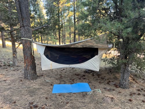 Customer photo review of Haven Safari