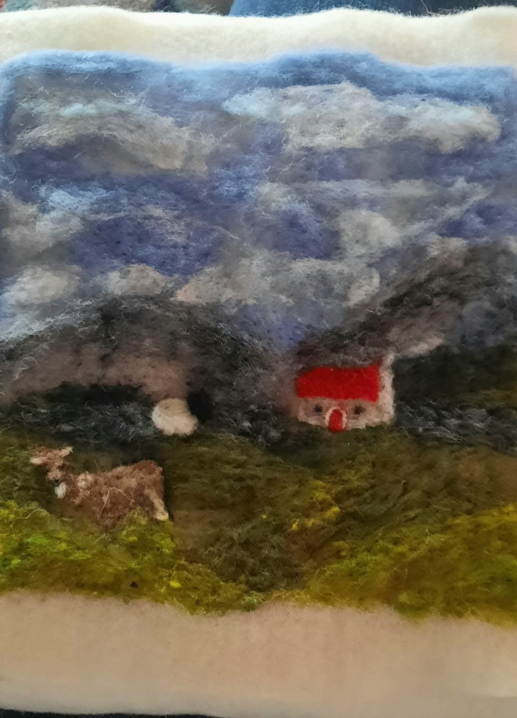 Customer photo review of Wool Mat
