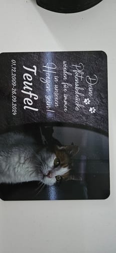 Customer photo review of Katzen Gedenktafel mit Foto & Spruch (UV- & Wetterfest)