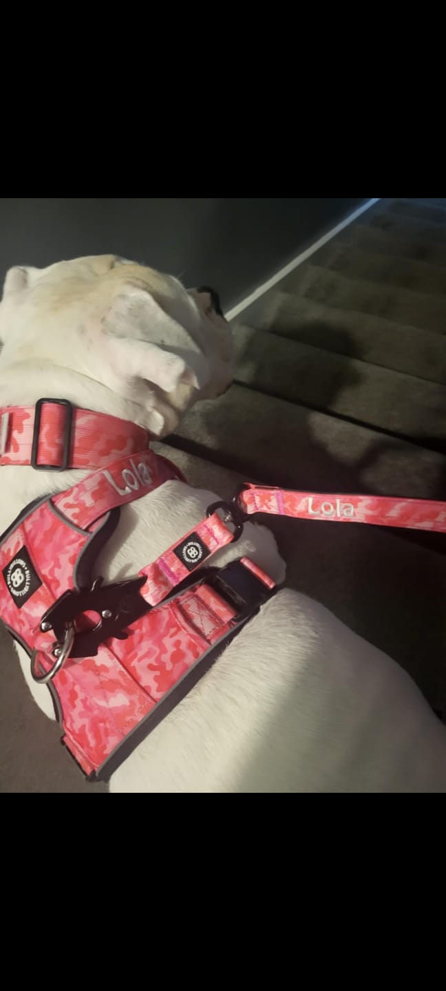 Customer photo review of Premium Comfort Harness | Non Restrictive & Adjustable - Bubblegum v2.0