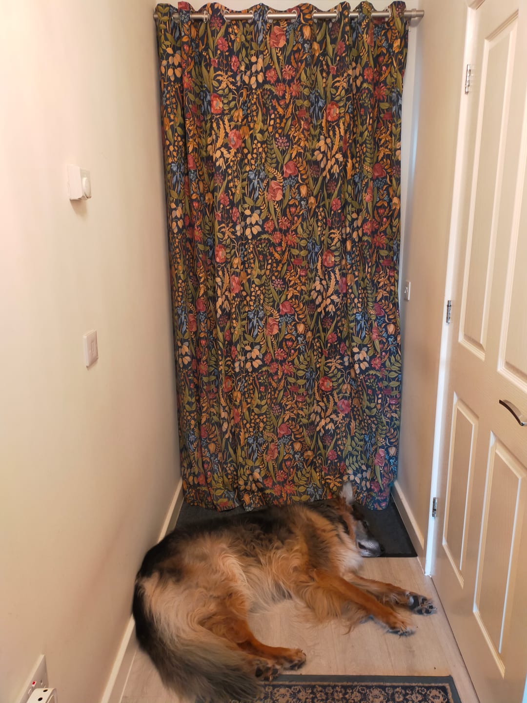 Customer photo review of Thermal Curtain Interlining Fabric