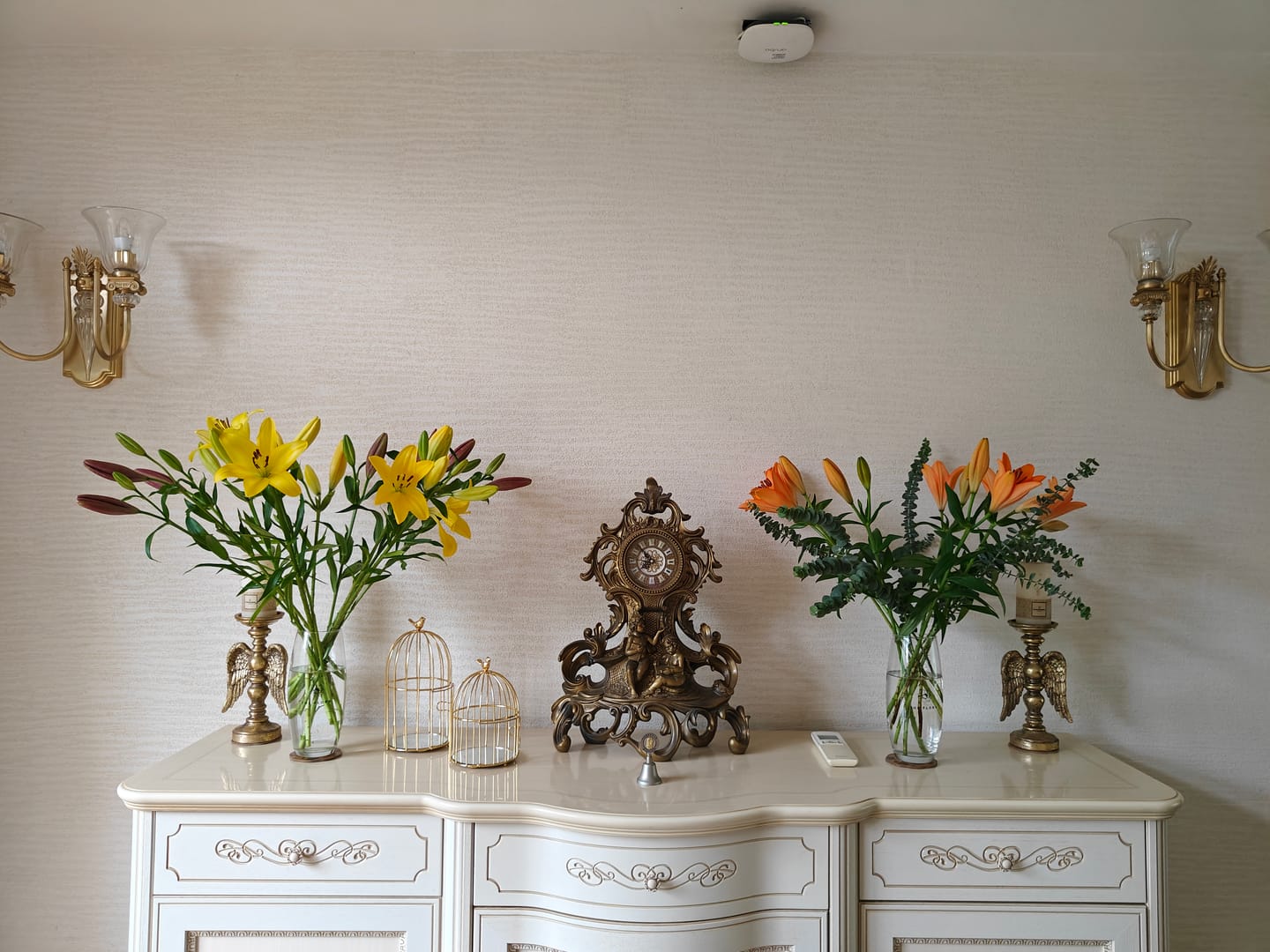 Customer photo review of Asiatic Lily