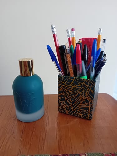 Customer photo review of Surfari