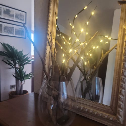 Customer photo review of Ramas LED