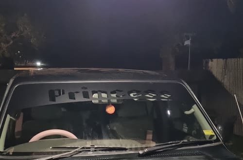 Customer photo review of Custom Reverse Cut Windshield Banner