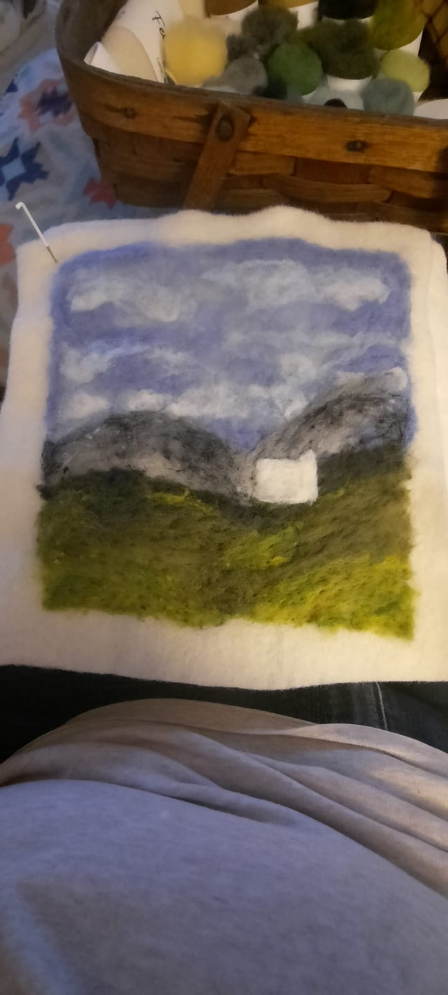 Customer photo review of Felting Needles
