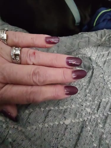 Customer photo review of Polar Lights Gel Polish Collection