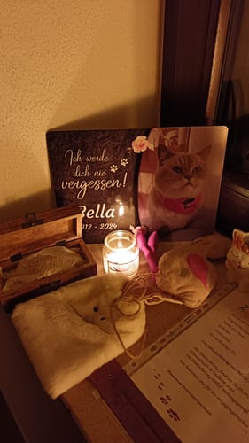 Customer photo review of Katzen Gedenktafel mit Foto & Spruch (UV- & Wetterfest)